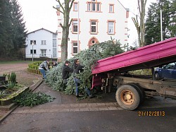 Auch das Aufstellen des Weihnachtsbaums gehört dazu