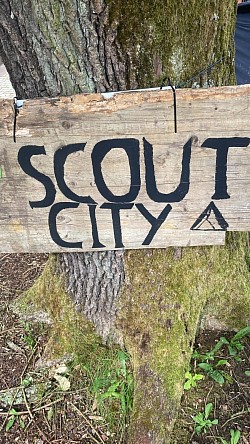 Scout